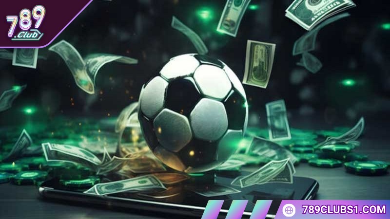 Chúng ta cần lưu ý tìm hiểu kỹ càng trước khi nhập cuộc